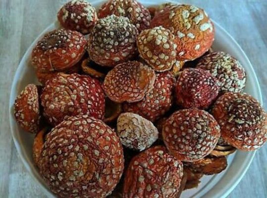 Buy amanita-muscaria-caps.jpg