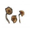 buy Blue Meanie Mushroom for sale