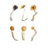buy Magic Mushroom